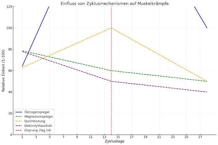 Zyklus 2