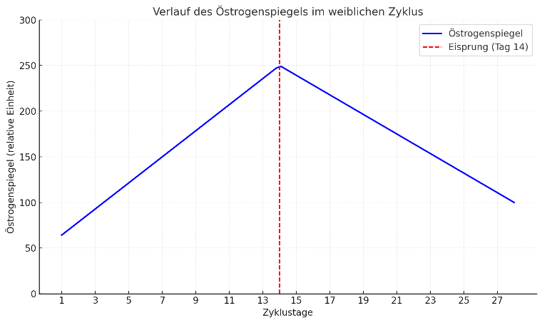 zyklus